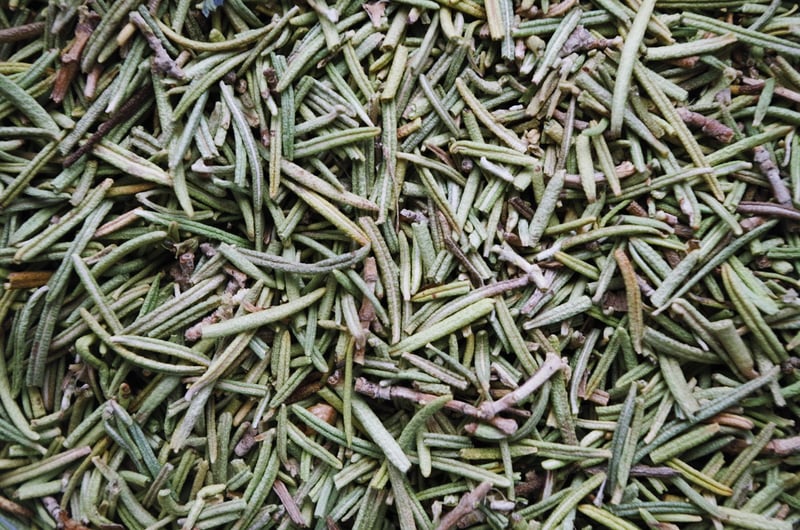 Herbs for Beginners